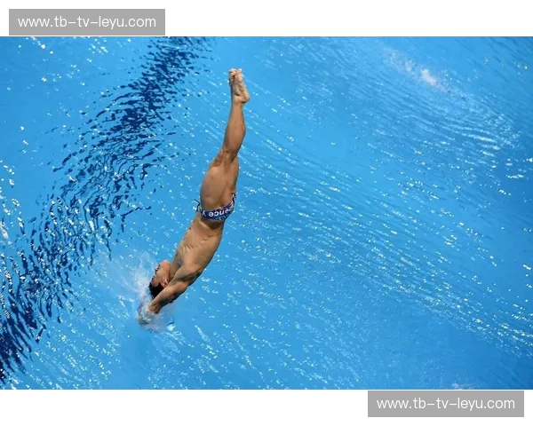 跳水梯队：从勇气到辉煌的每一次入水