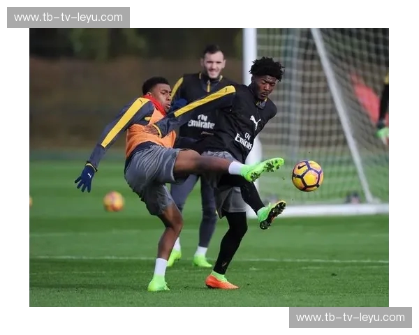 红蓝碰撞：纽约德比的激情与荣耀