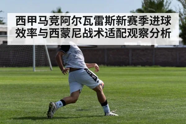 西甲马竞阿尔瓦雷斯新赛季进球效率与西蒙尼战术适配观察分析